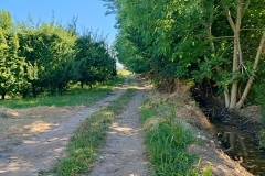 foto-1