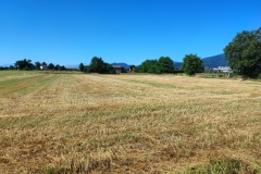 foto-10