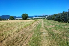 foto-11