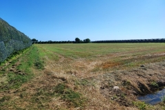 foto-12