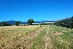 foto-5