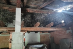 Foto-1