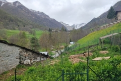 Foto-15