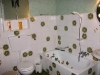 interno-12