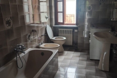Frassino-foto-bagno