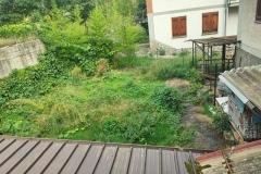 Frassino-foto-giardino