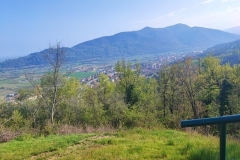 foto-1