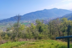 foto-2-