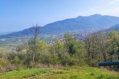 foto-5-