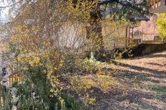 Sampeyre-giardino-immobile-