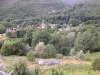 image8