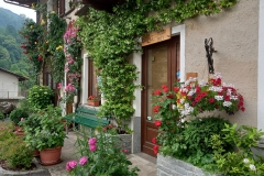 BED-FIORI-GIUGNO-2022-10