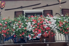 Seconda-foto