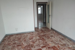 Foto-19